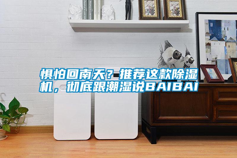 懼怕回南天？推薦這款除濕機(jī)，徹底跟潮濕說(shuō)BAIBAI