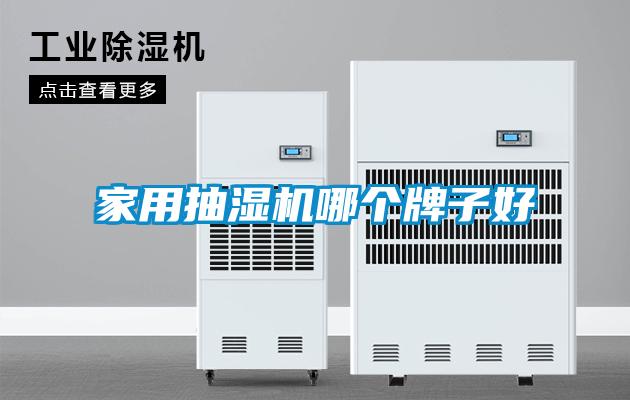家用抽濕機(jī)哪個牌子好