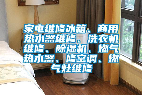 家電維修冰箱、商用熱水器維修、洗衣機(jī)維修、除濕機(jī)、燃?xì)鉄崴?、修空調(diào)、燃?xì)庠罹S修