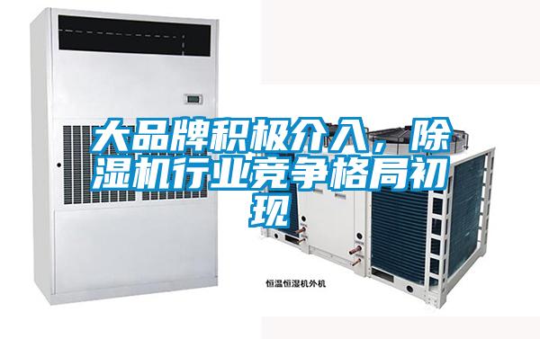 大品牌積極介入，除濕機行業(yè)競爭格局初現(xiàn)