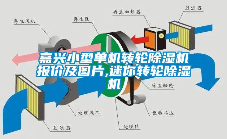 嘉興小型單機(jī)轉(zhuǎn)輪除濕機(jī)報價及圖片,迷你轉(zhuǎn)輪除濕機(jī)