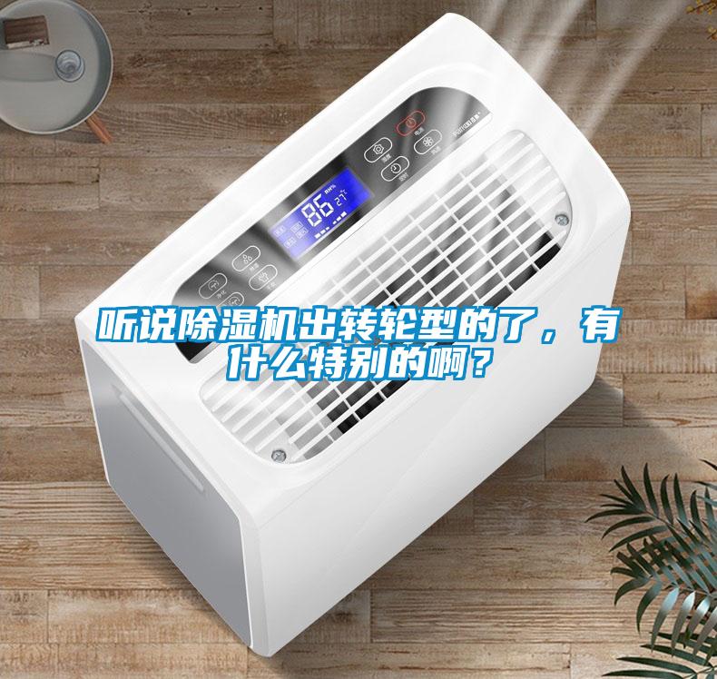 聽說除濕機(jī)出轉(zhuǎn)輪型的了，有什么特別的??？