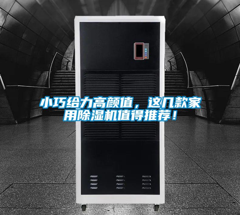 小巧給力高顏值，這幾款家用除濕機值得推薦！