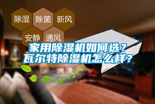 家用除濕機如何選？瓦爾特除濕機怎么樣？
