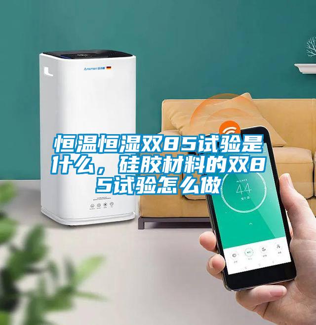 恒溫恒濕雙85試驗是什么，硅膠材料的雙85試驗怎么做