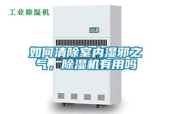 如何清除室內(nèi)濕邪之氣，除濕機(jī)有用嗎