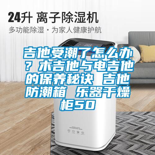 吉他受潮了怎么辦？木吉他與電吉他的保養(yǎng)秘訣 吉他防潮箱 樂器干燥柜50