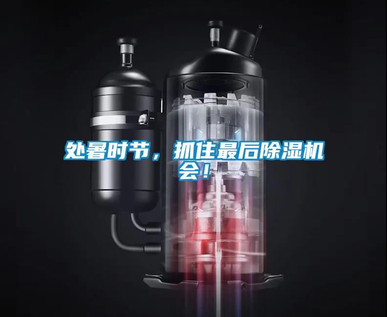 處暑時節(jié)，抓住最后除濕機(jī)會！