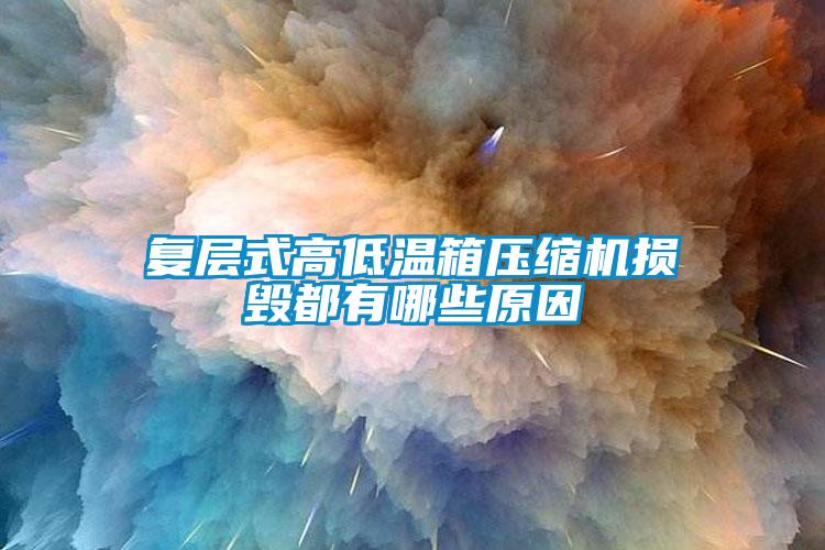 復(fù)層式高低溫箱壓縮機損毀都有哪些原因