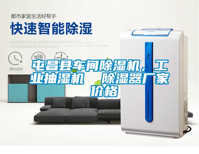 屯昌縣車間除濕機，工業(yè)抽濕機  除濕器廠家 價格