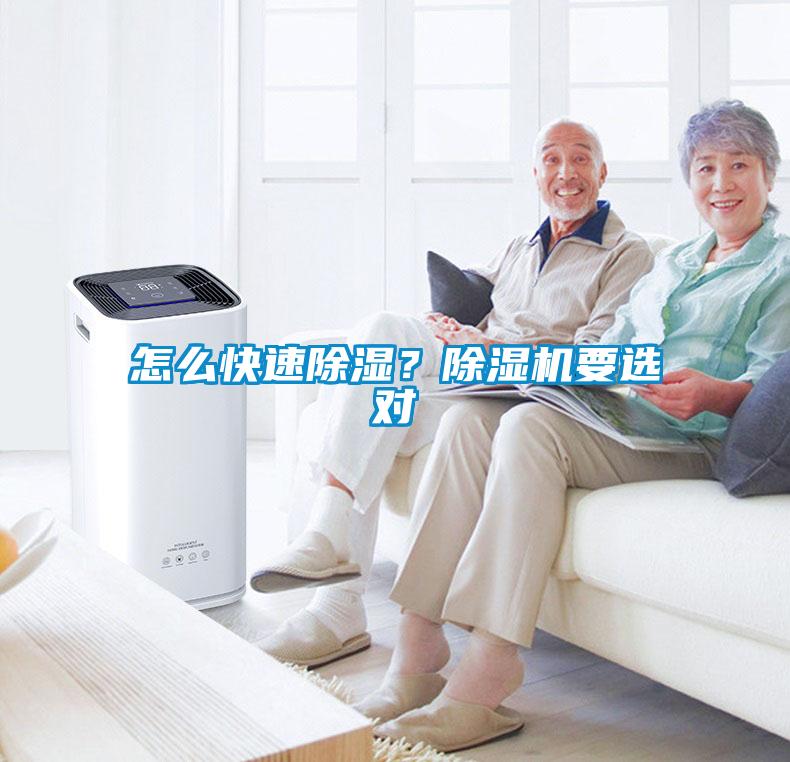 怎么快速除濕？除濕機要選對
