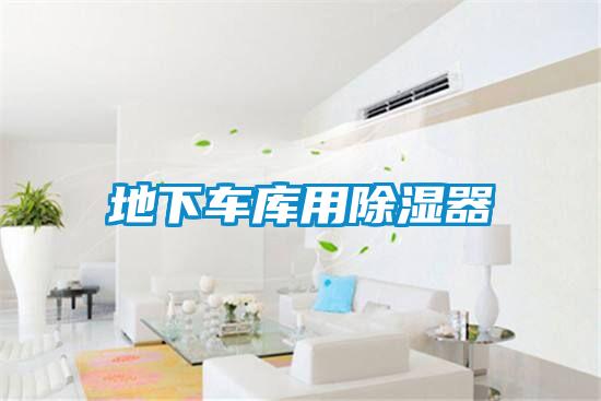 地下車庫(kù)用除濕器