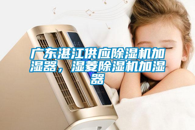 廣東湛江供應(yīng)除濕機(jī)加濕器，濕菱除濕機(jī)加濕器