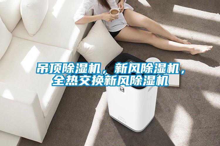 吊頂除濕機(jī)，新風(fēng)除濕機(jī)，全熱交換新風(fēng)除濕機(jī)