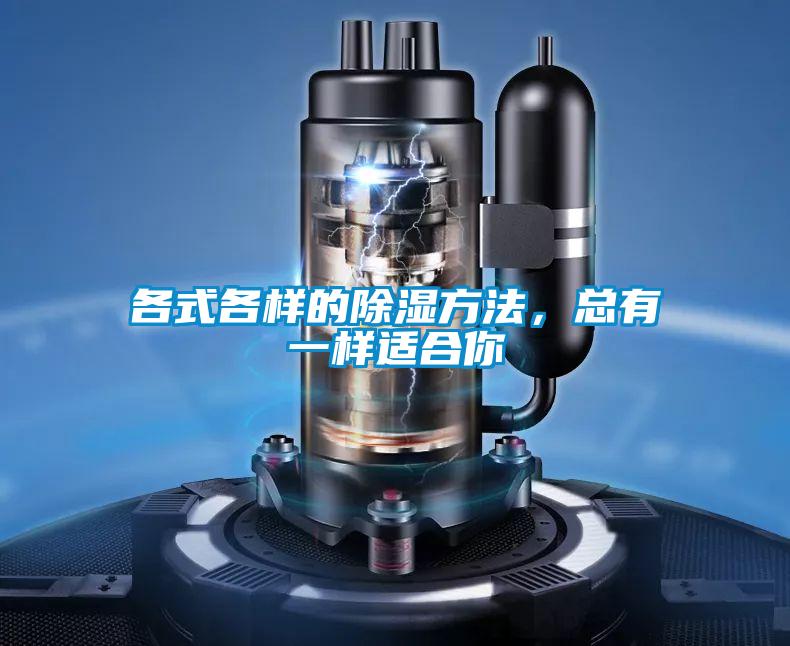 各式各樣的除濕方法，總有一樣適合你