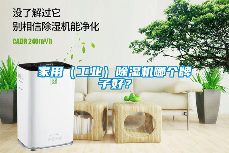 家用（工業(yè)）除濕機哪個牌子好？