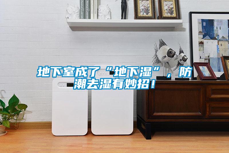 地下室成了“地下濕”，防潮去濕有妙招！
