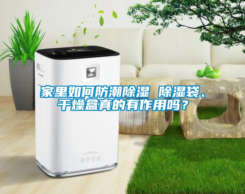 家里如何防潮除濕 除濕袋、干燥盒真的有作用嗎？