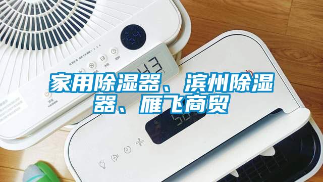 家用除濕器、濱州除濕器、雁飛商貿(mào)