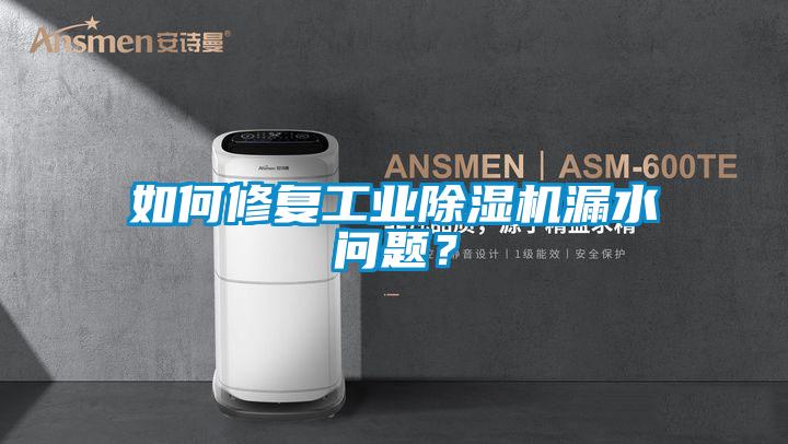 如何修復(fù)工業(yè)除濕機(jī)漏水問題？