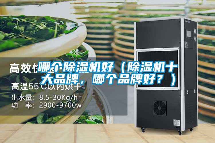 哪個(gè)除濕機(jī)好（除濕機(jī)十大品牌，哪個(gè)品牌好？）