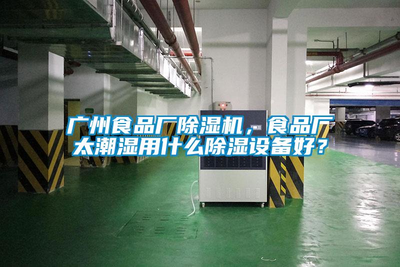 廣州食品廠除濕機，食品廠太潮濕用什么除濕設(shè)備好？