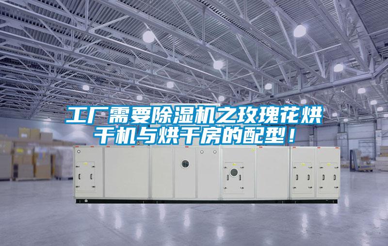 工廠需要除濕機(jī)之玫瑰花烘干機(jī)與烘干房的配型！