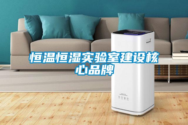 恒溫恒濕實驗室建設(shè)核心品牌