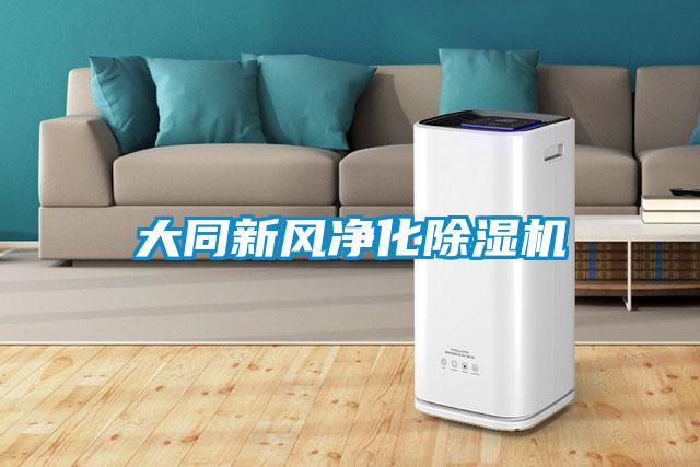 大同新風(fēng)凈化除濕機