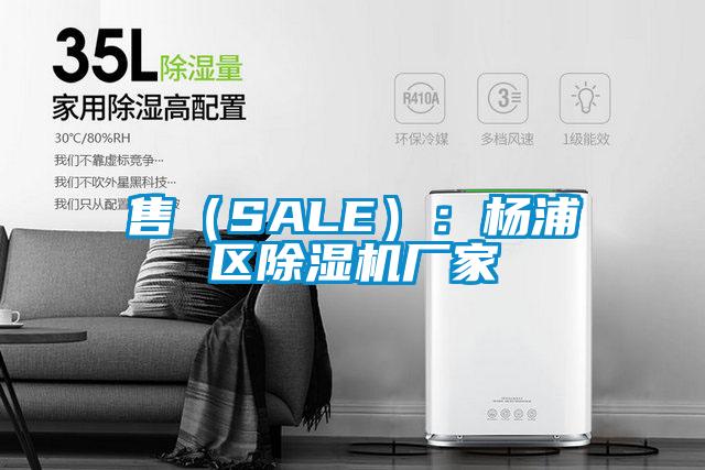售（SALE）：楊浦區(qū)除濕機(jī)廠家