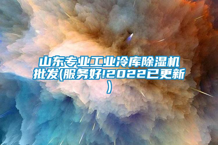 山東專業(yè)工業(yè)冷庫(kù)除濕機(jī)批發(fā)(服務(wù)好!2022已更新)