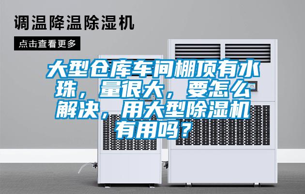 大型倉庫車間棚頂有水珠，量很大，要怎么解決，用大型除濕機有用嗎？