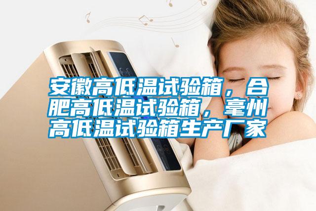 安徽高低溫試驗箱，合肥高低溫試驗箱，毫州高低溫試驗箱生產(chǎn)廠家