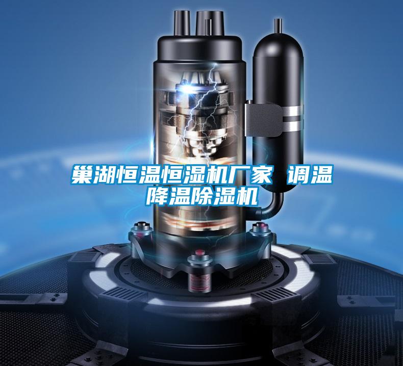 巢湖恒溫恒濕機(jī)廠(chǎng)家 調(diào)溫降溫除濕機(jī)