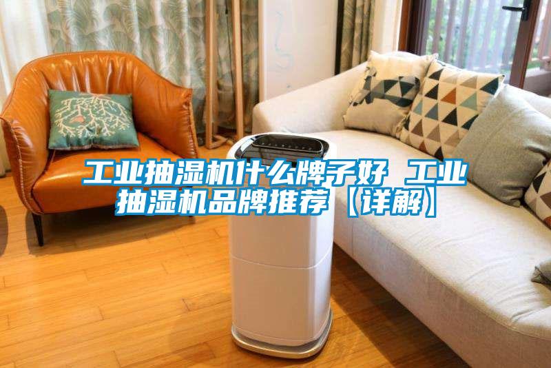 工業(yè)抽濕機什么牌子好 工業(yè)抽濕機品牌推薦【詳解】