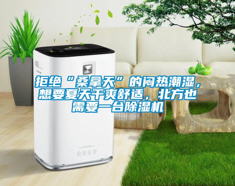 拒絕“桑拿天”的悶熱潮濕，想要夏天干爽舒適，北方也需要一臺除濕機