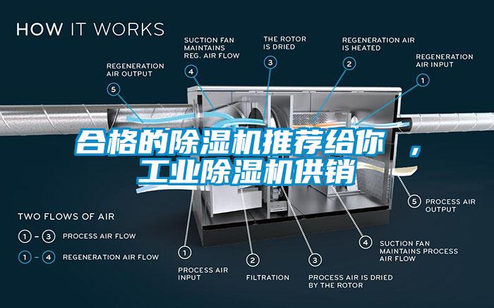 合格的除濕機推薦給你 ，工業(yè)除濕機供銷