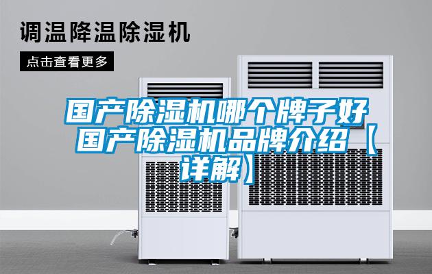 國產(chǎn)除濕機哪個牌子好 國產(chǎn)除濕機品牌介紹【詳解】