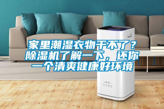 家里潮濕衣物干不了？除濕機了解一下，還你一個清爽健康好環(huán)境