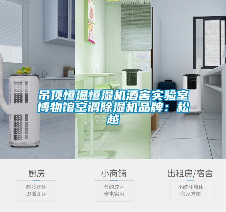 吊頂恒溫恒濕機酒窖實驗室博物館空調(diào)除濕機品牌：松越
