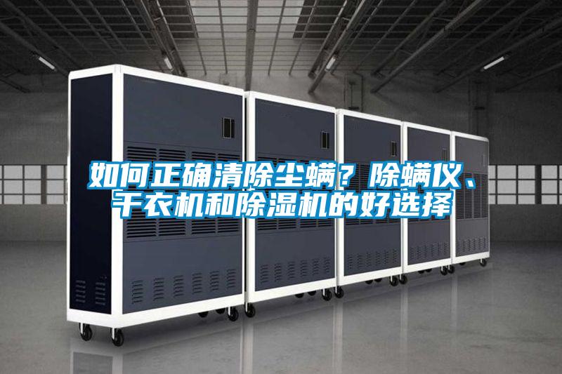如何正確清除塵螨？除螨儀、干衣機(jī)和除濕機(jī)的好選擇