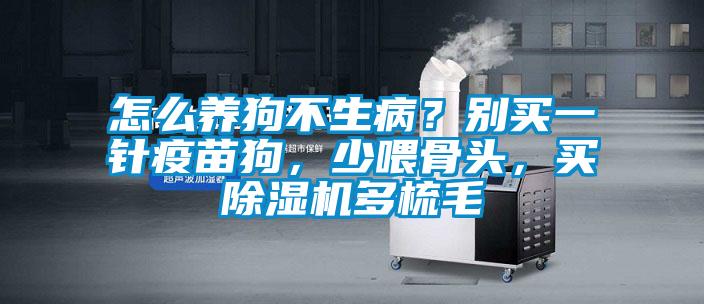 怎么養(yǎng)狗不生?。縿e買一針疫苗狗，少喂骨頭，買除濕機(jī)多梳毛