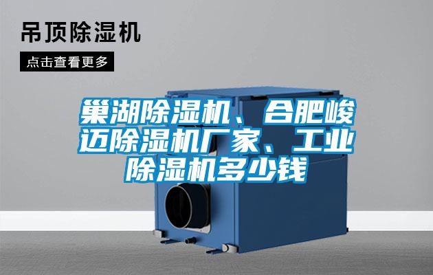 巢湖除濕機(jī)、合肥峻邁除濕機(jī)廠家、工業(yè)除濕機(jī)多少錢