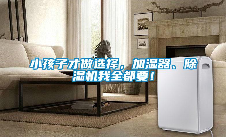 小孩子才做選擇，加濕器、除濕機我全都要！