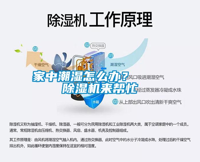 家中潮濕怎么辦？    除濕機(jī)來幫忙