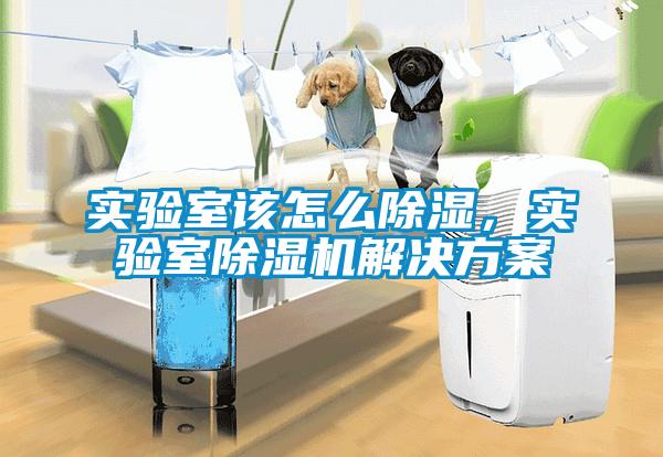 實(shí)驗(yàn)室該怎么除濕，實(shí)驗(yàn)室除濕機(jī)解決方案