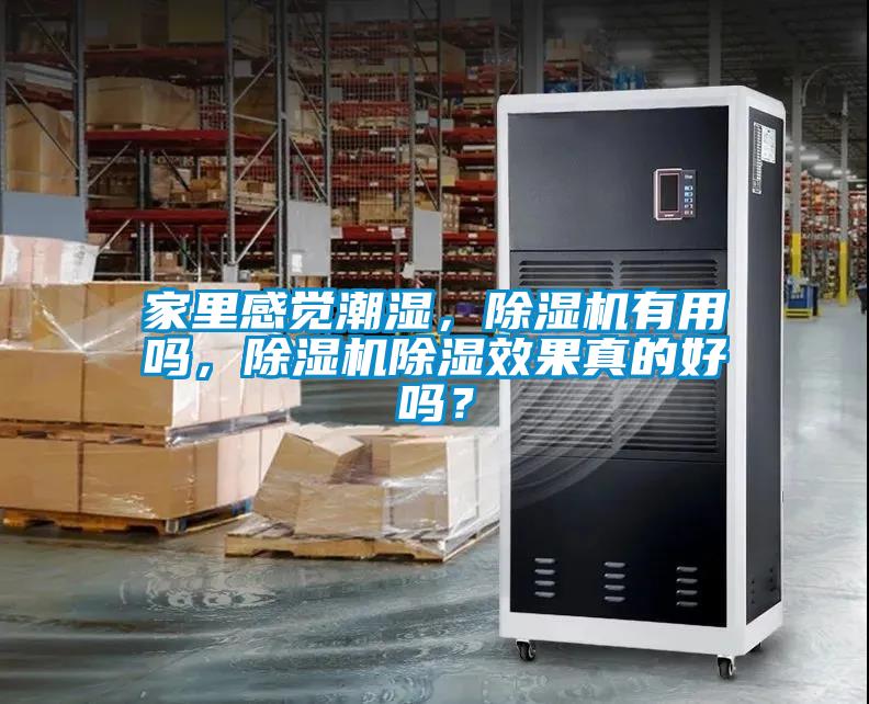 家里感覺潮濕，除濕機有用嗎，除濕機除濕效果真的好嗎？
