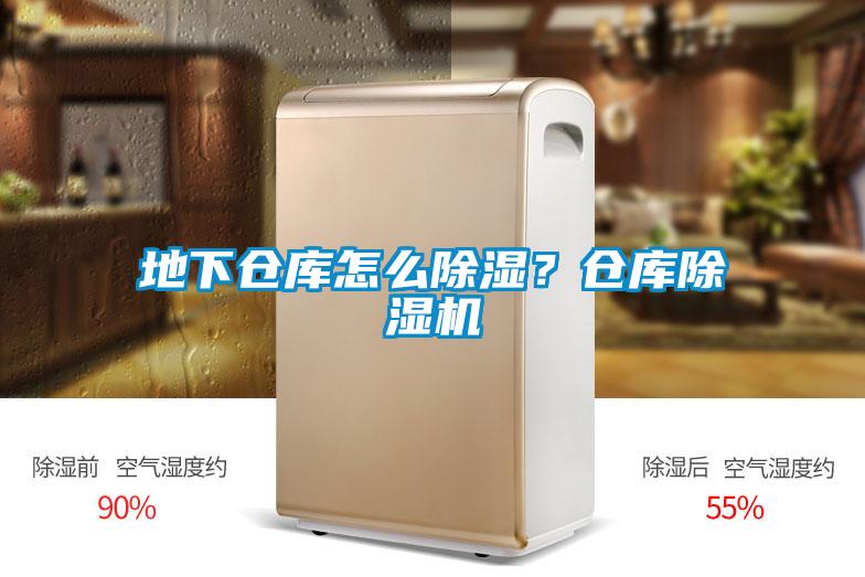 地下倉(cāng)庫(kù)怎么除濕？倉(cāng)庫(kù)除濕機(jī)