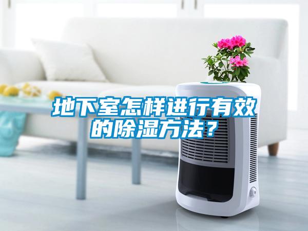 地下室怎樣進(jìn)行有效的除濕方法？