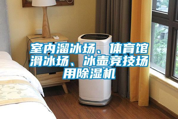 室內(nèi)溜冰場、體育館滑冰場、冰壺競技場用除濕機(jī)